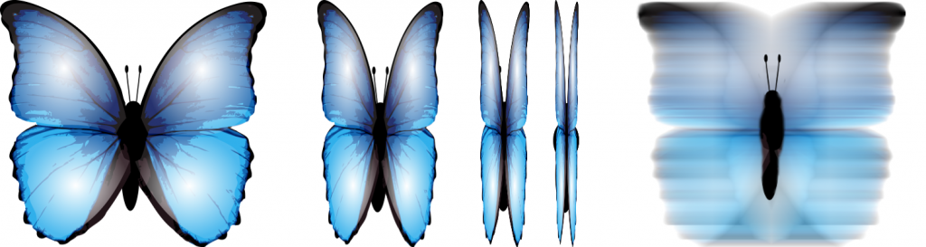 4 views of a blue butterfly with different possible wing positions, and a 5th image in which all possible positions are superposed.